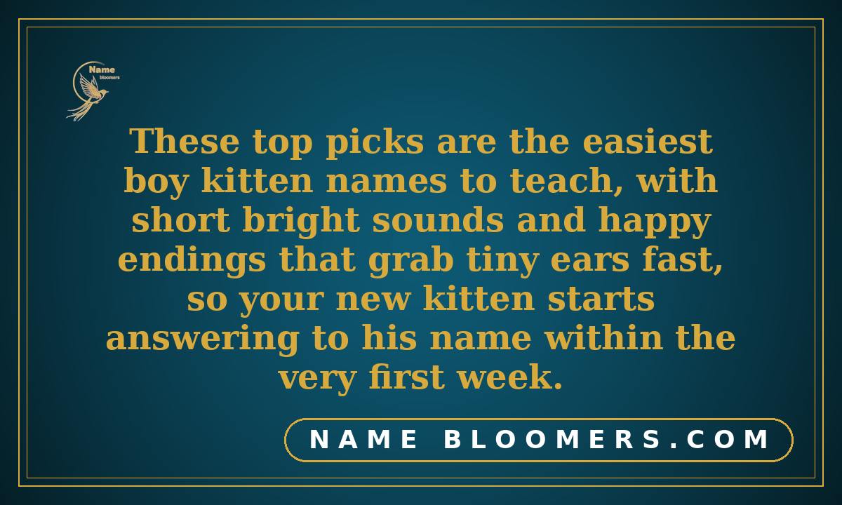 Best Cat Names for Boy Kittens (top picks)