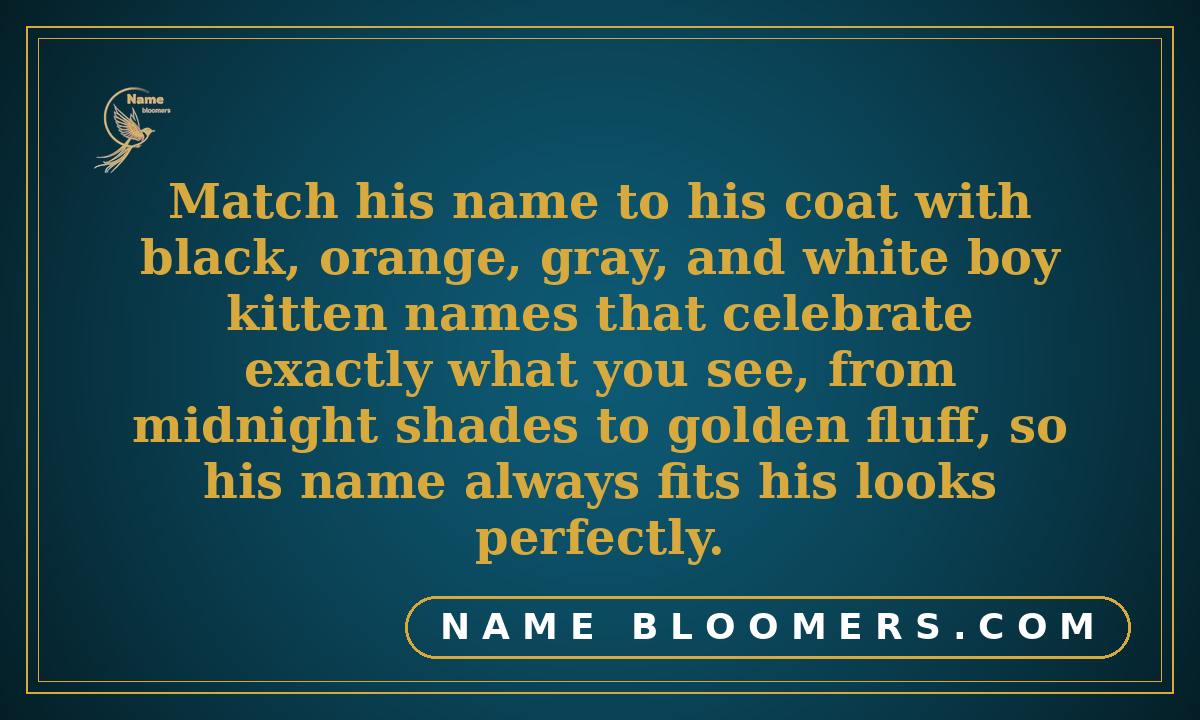 Boy Kitten Names by Color