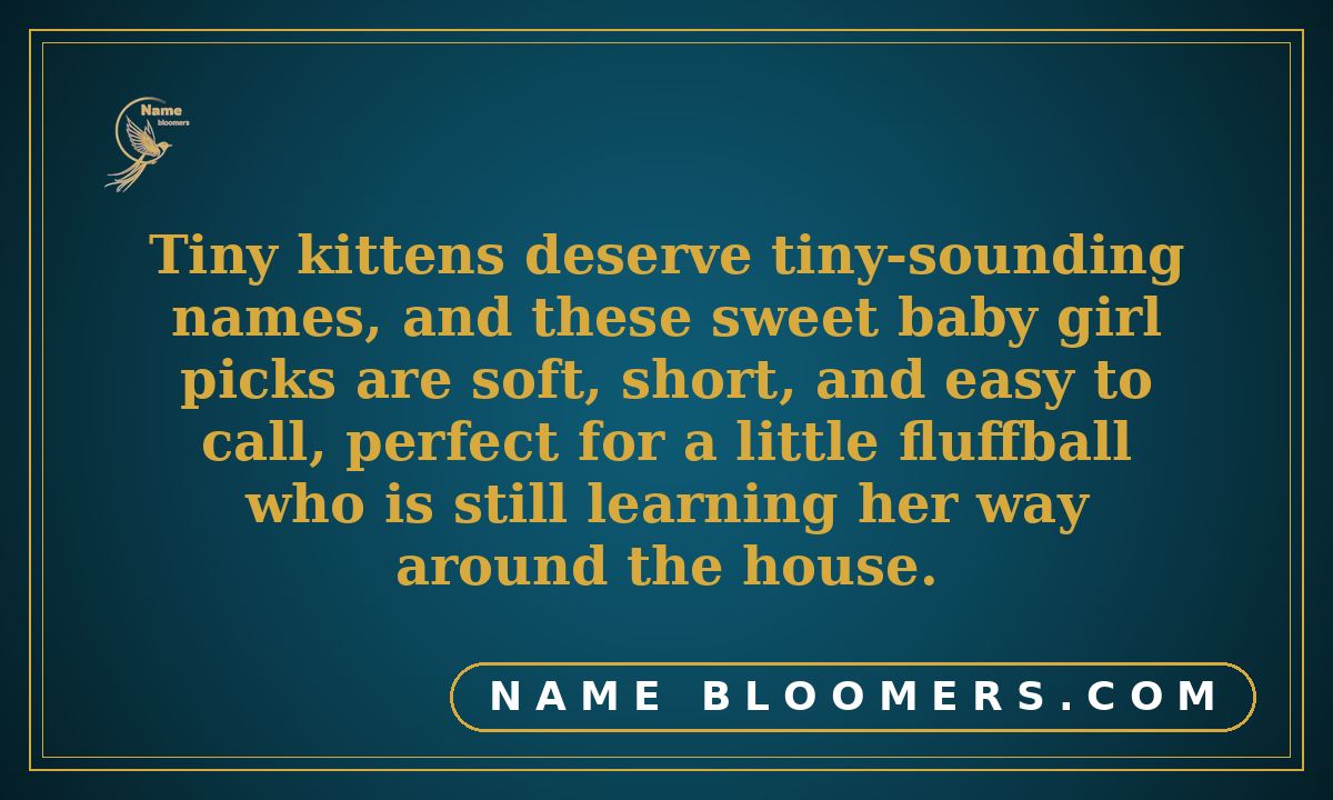 Girl Kitten Names: Sweet Picks for Baby Girls