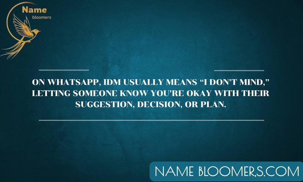 IDM Meaning on WhatsApp