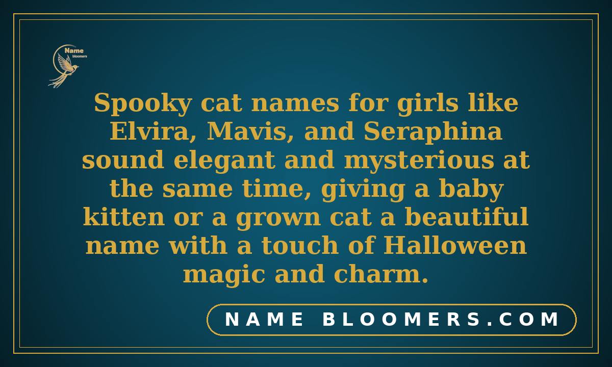 Spooky Cat Names for Girls