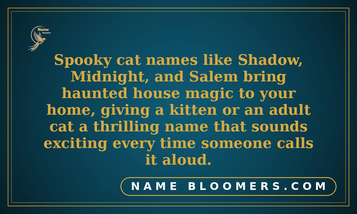 Spooky Cat Names