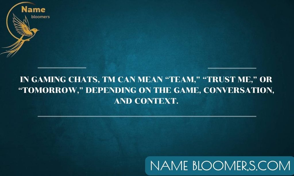 TM Meaning in Gaming Chats