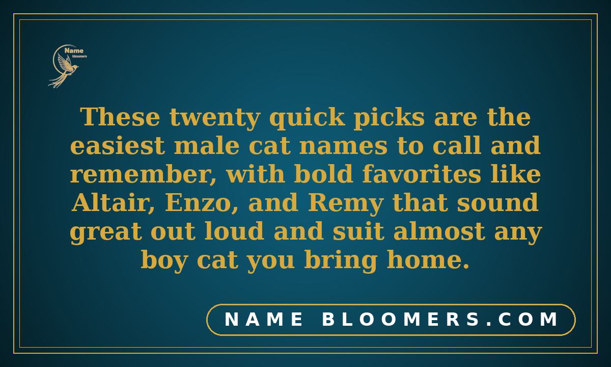 Top 20 Male Cat Names (quick picks if you are in a hurry)