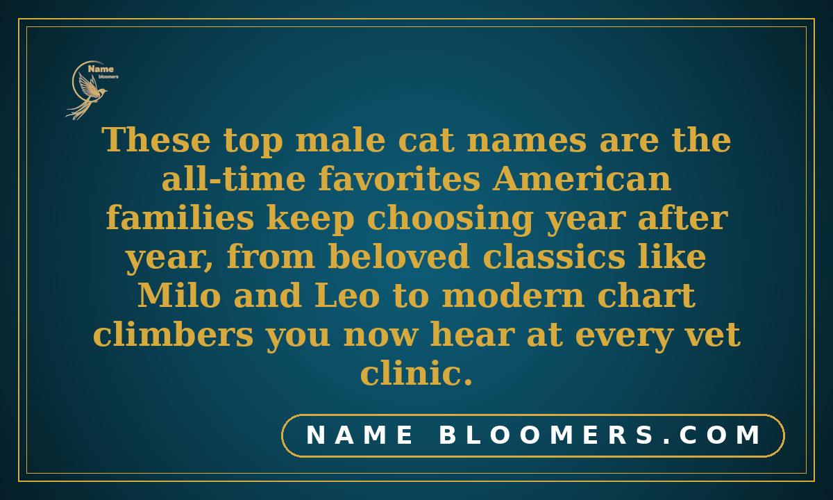 Top 25 Male Cat Names at a Glance